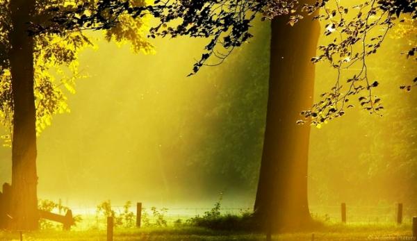 Nelleke Pieters_2600_347