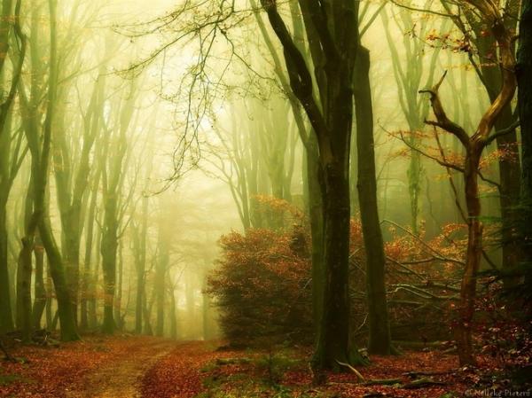 Nelleke Pieters_26600_449