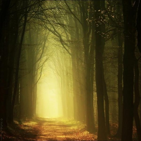 Nelleke Pieters_28600_600