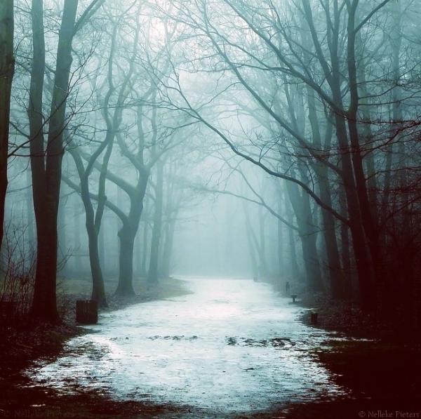 Nelleke Pieters_29600_597