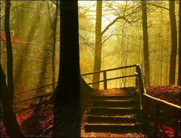 Nelleke Pieters_30600_457