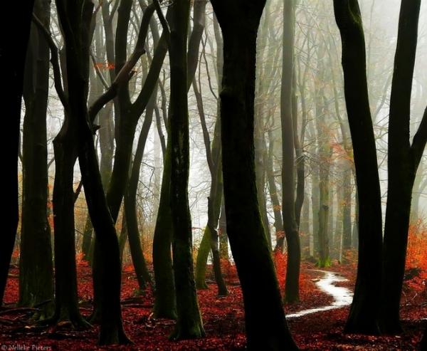 Nelleke Pieters_32600_493