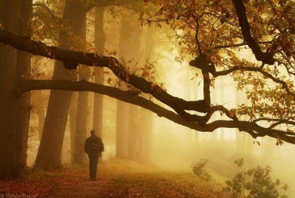 Nelleke Pieters_33600_404