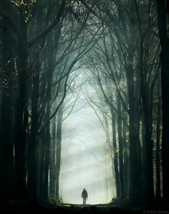 Nelleke Pieters_34_550_695