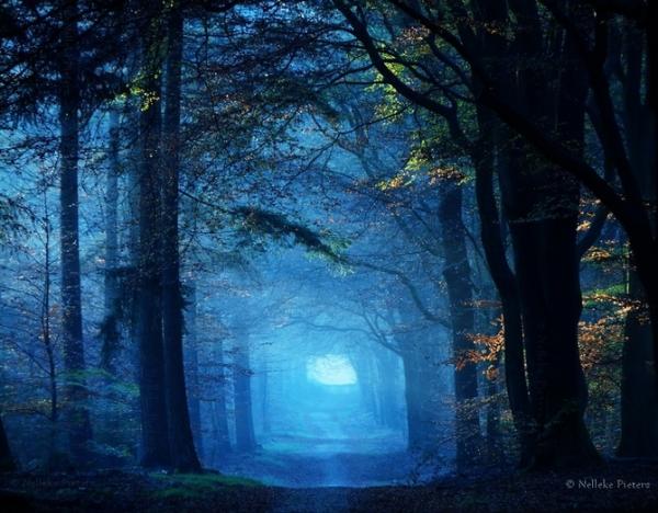 Nelleke Pieters_35600_468