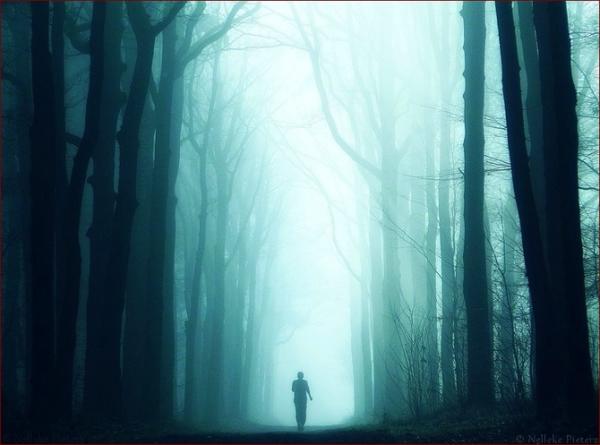 Nelleke Pieters_3600_445