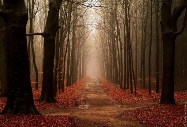 Nelleke Pieters_37600_408