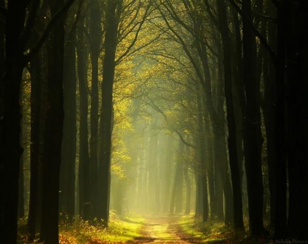 Nelleke Pieters_4600_476