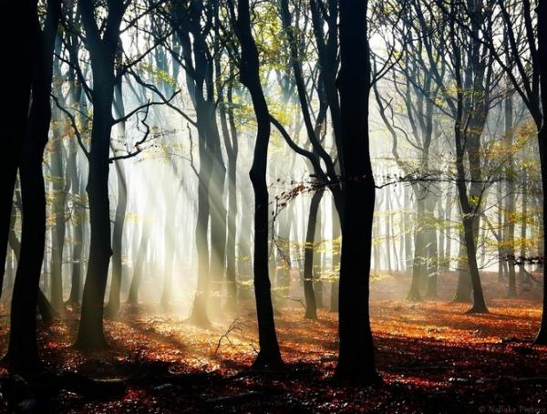 Nelleke Pieters_5600_454