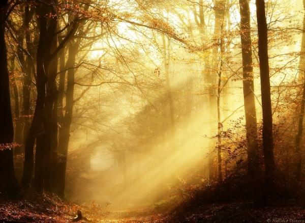 Nelleke Pieters_6600_438