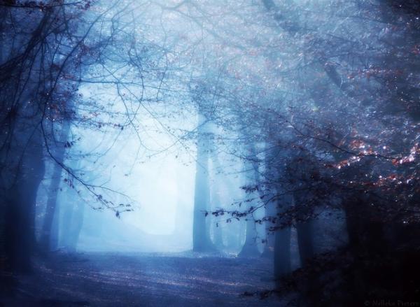 Nelleke Pieters_7600_439