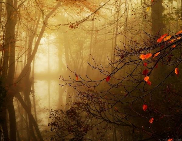 Nelleke Pieters_8600_464