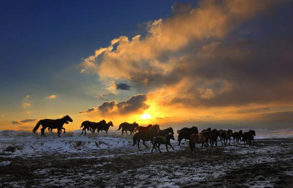 Nikolai Zinoviev_1600_385