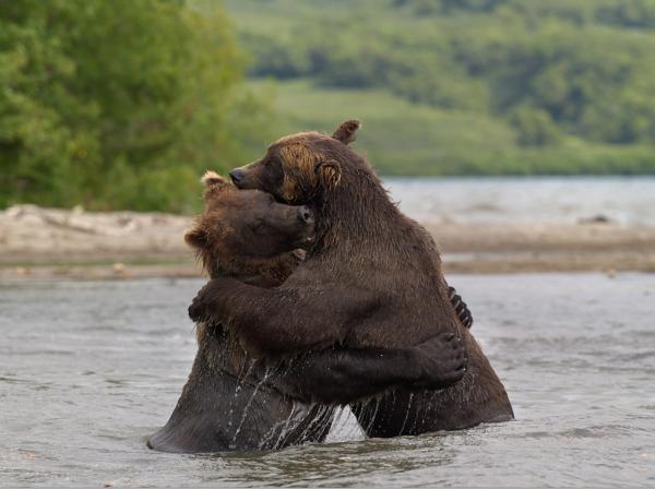 Nikolai Zinoviev_20600_448