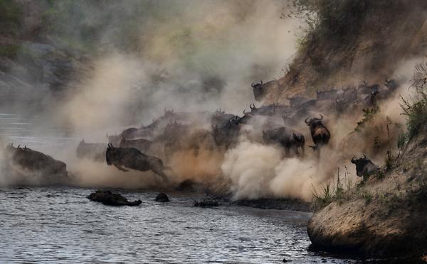 Nikolai Zinoviev_21600_372