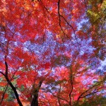 Landscape Photography by Yume