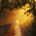 Landscape Photography by Zoltán Koi