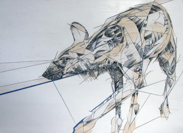 africanwilddog_thielke_by_Jason Thielke600_436