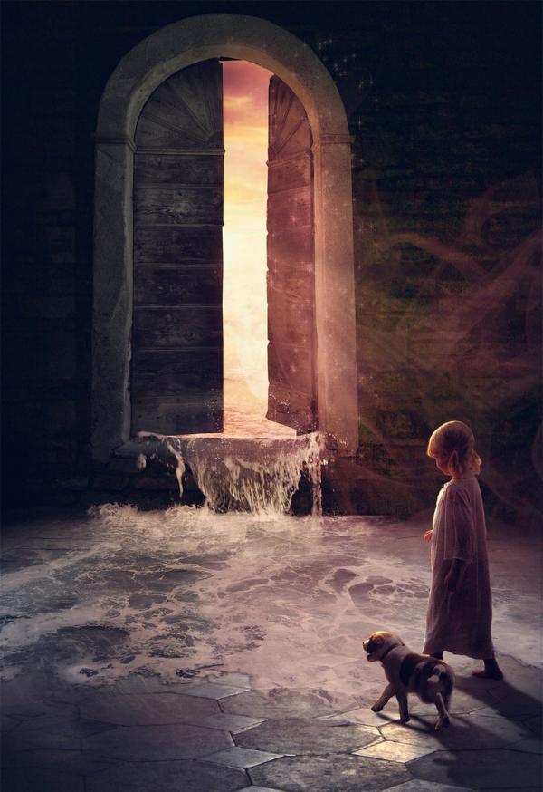 door_to_your_dreams_by_fictionchick600_874 door to your dreams by fictionchick600 874