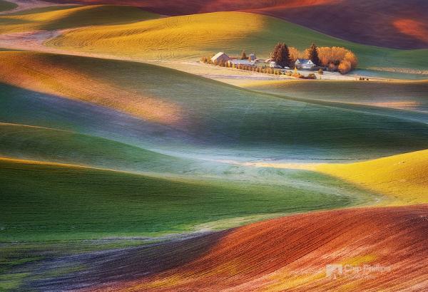 frosty morning palouse_by_Chip Phillips 600_410