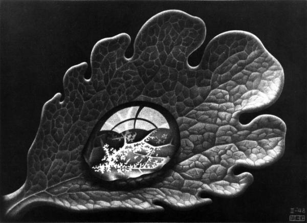 gota_de_rocio600_436