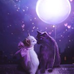 Fairy Kitty by Maria Lucia