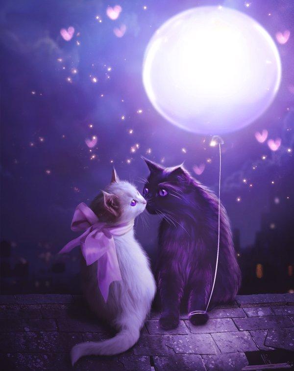 i_ll_give_you_the_moon_by_marilucia600_756 i ll give you the moon by marilucia600 756