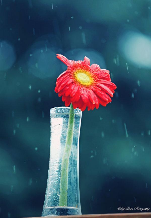 it_can__t_rain_all_the_time_by_mylifethroughthelens600_865
