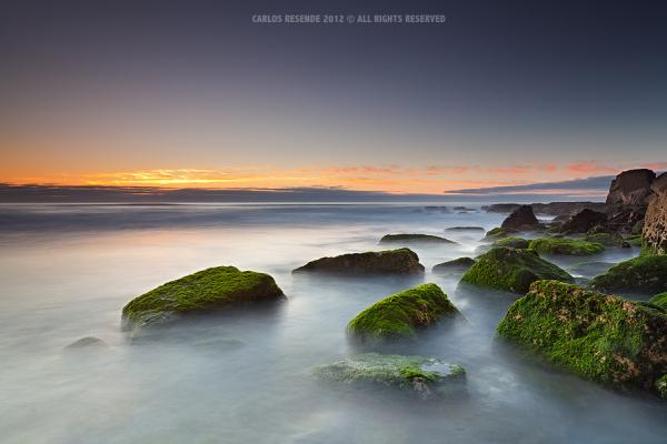 just for the fun_by_Carlos Resende600_400