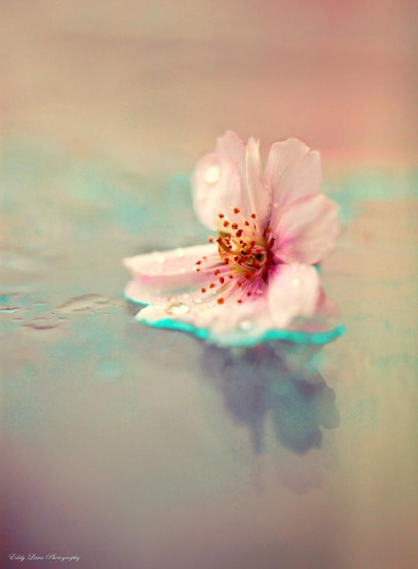 learn_to_be_lonely_by_mylifethroughthelens600_816