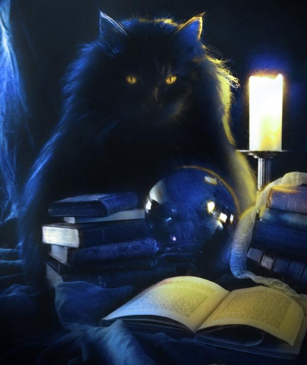 magic_by_marilucia600_714