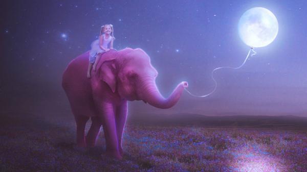 my_pink_elephant_by_marilucia600_337
