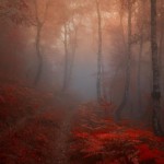 Landscape Photography by Janek Sedlar
