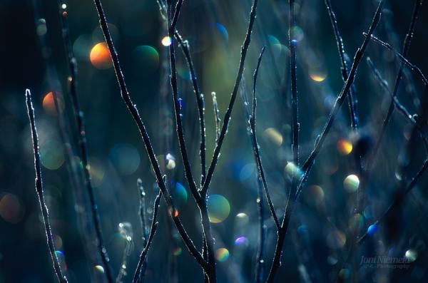 sparkles600_397