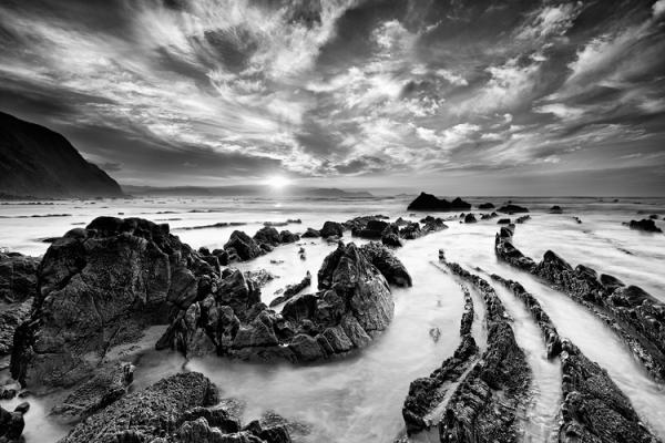 the tail of the lizard_by_Carlos Resende600_400