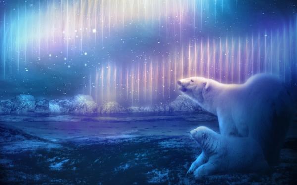 ursa_major_and_ursa_minor_by_marilucia600_375