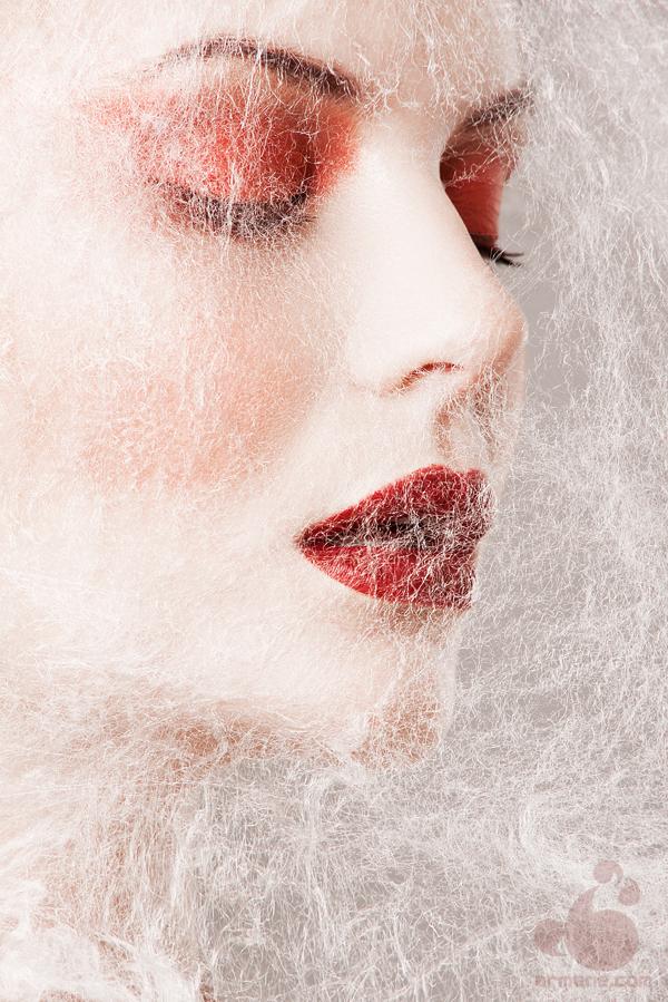 web_ii_by_armene600_899