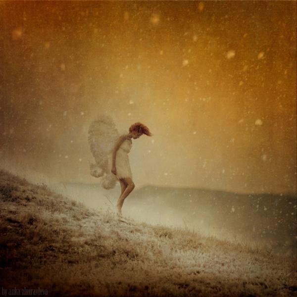 Anka Zhuravleva _7600_600