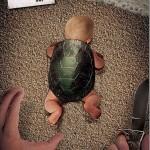 Strong And effective advertising By WWF