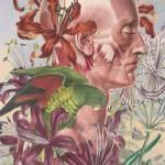 Awesome Anatomical Collages by Juan Gatti