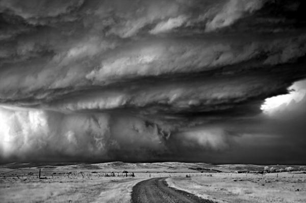 bear's claw_by_Mitch Dobrowner600_399