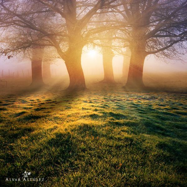 divina luz_by_Alvar Astulez 600_600