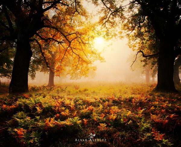 door to the autum_by_Alvar Astulez 600_486