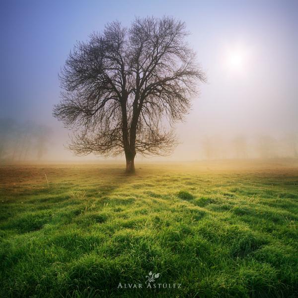 el prado_by_Alvar Astulez 600_600