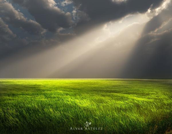 green spring_by_Alvar Astulez 600_467