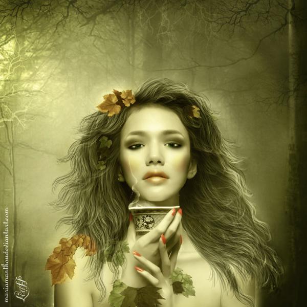 leafs_by_mariaig600_600