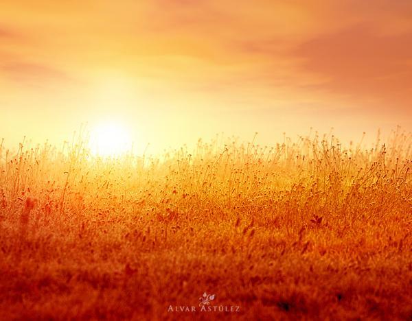 life to a span_by_Alvar Astulez 600_468