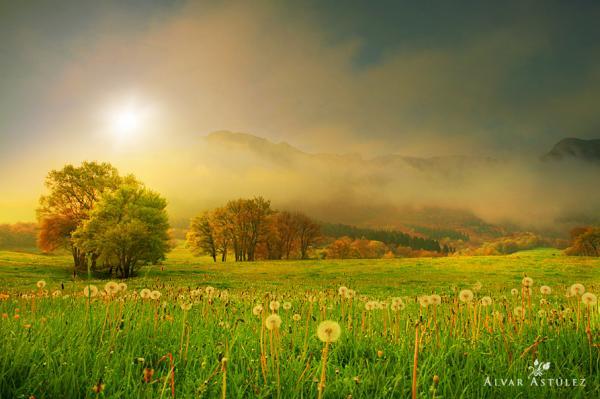 magic moment_by_Alvar Astulez 600_399