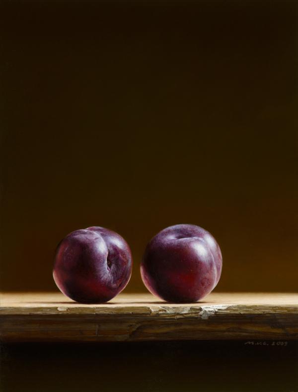 mark van crombrugge _5600_788