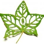 Leaf Type - Mei Lin Chan